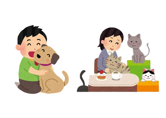 犬と猫の愛情表現