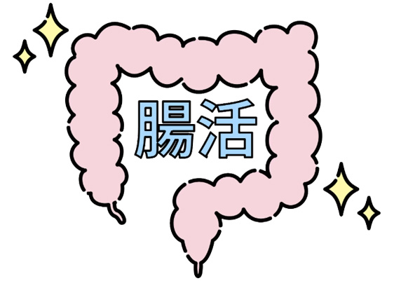 犬 猫のための腸活